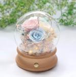 Wholesale Rose Preserved Flower in Glass Dome Flower for Valentines Day rose