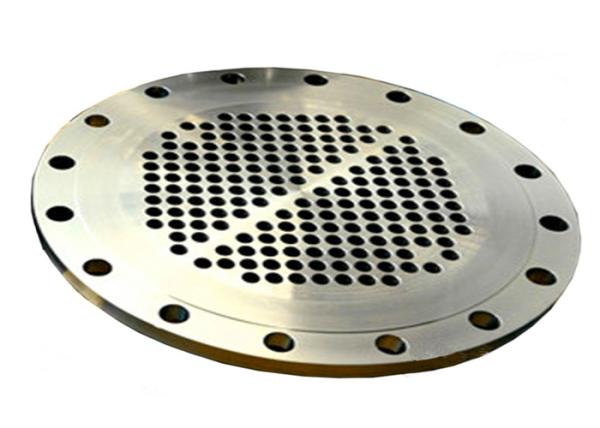 Customized Pressure Vessel Tube sheet Flange Forged Tube Sheet Carbon Steel