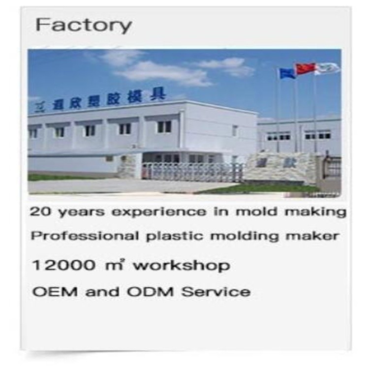 PET PMMA Syringe Mold Injection Molding Medical Parts