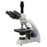 Buy cheap 1000X Student Biological Microscope from wholesalers
