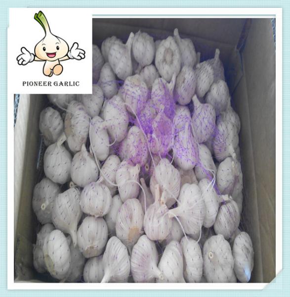 Buy cheap 2016 High Quality Fresh Garlic Price Fresh Natural Garlic Supplier from wholesalers