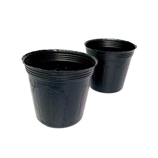 Buy cheap Nontoxic HDPE 6 Inch Plastic Growers Pots 5 Gallon In Plant Engineering from wholesalers