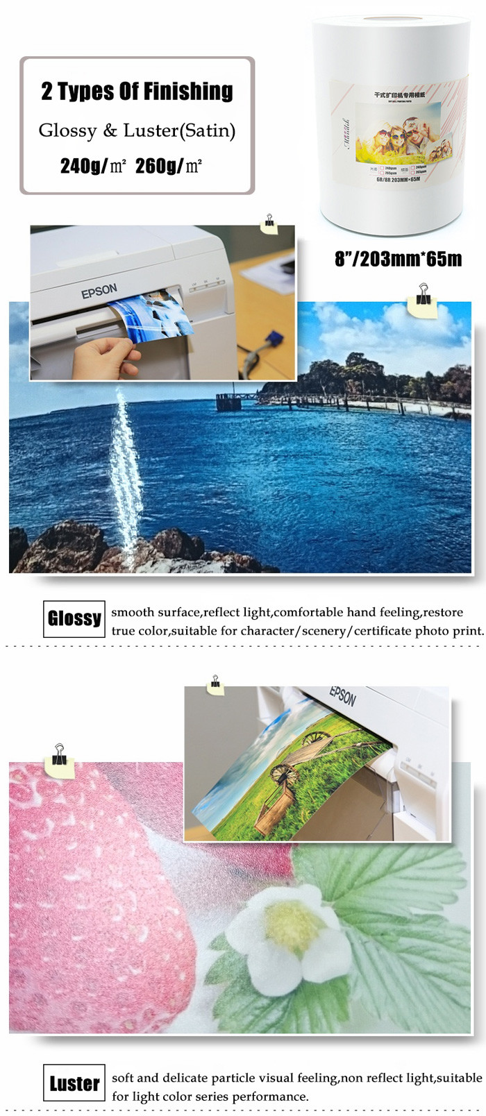 Dry Minilab Glossy Photo Paper Roll