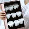Buy cheap Luxury preserved rose 9pcs 5-6cm long stem long life rose guns flower box gift from wholesalers