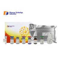 Buy cheap 96 Wells 48 Wells Bovine ELISA Kits Sandwich Highly Sensitive With Oem Service product