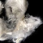 Virgin Material Fluffy PTT Bosilun Fiber Virgin A Grade Eco Friendly For Man -