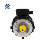 YE3 IE3 3 Phase Asynchronous Motor 0.75kw - 22kw 380V AC Motor IP55 IP54