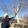 Buy cheap Carbon Fiber Telescopic Pole Chainsaw 3m 5m 7m Adjustable Chain Saw Extension Pole from wholesalers