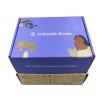 Buy cheap 4C 1C Cardboard Gift Boxes 350g CMYK Mailing Corrugated Clothing Shoe Paper Package from wholesalers