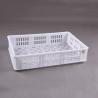Buy cheap Poultry One Day Old Chick Transport Boxes 1900g Livestock Equipment Accessories from wholesalers