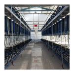 Digital Vacuum 50Kpa Herringbone Milking Parlor For Dairy Farm