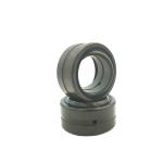 Lubricated Metric Spherical Plain Bearings GEZ 101 GEZ44ES 2RS Radial