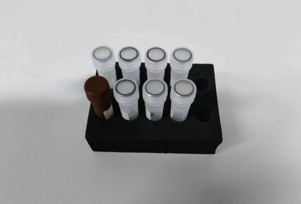 Buy cheap 45 Min Standard Taq DNA Polymerase PCR Reagent Endo / Exonuclease Activity Tested Storage At 2-8.C from wholesalers