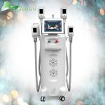 Fat Freezing Body Shaper Cryolipolysis Slimming Machine for Hospital / Beauty