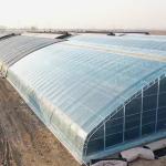 Roofing Shape Arched Roof JX-Arch Green House for Tomato Strawberry Hydroponic