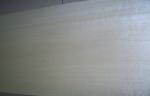 0.5 mm Crown Cut White Birch Veneer With Light Yellow Grain
