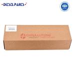 Professional CR injector manufacturer 0 445 120 110 for Yuchai YC6J common rail