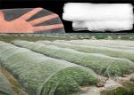 Buy cheap Hdpe Material Insect Mesh Netting White Color For Young Vegetable Crops from wholesalers
