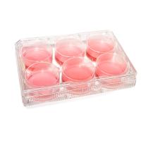 Buy cheap Gamma Irradiation Tissue 6 Well Cell Culture Plate Microbiology product