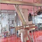 Sterilization Food Grade Slaughterhouse Cow Machine High Efficiency Cow