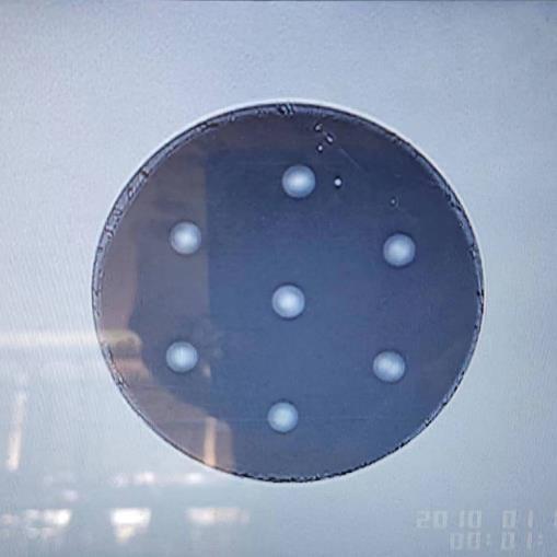 Buy cheap Scientific Research Products Multi Core Optical Fiber Polishing from wholesalers
