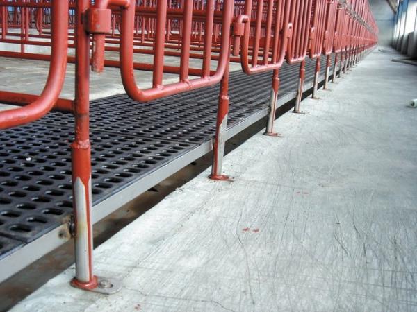 Buy cheap Eurotier Hannover 2010 Hannover Germany - - NorthHusbandry Machinery from wholesalers
