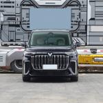 Customized Request 2024 Voyah Dream Hybrid Black Long Range Luxury Edition