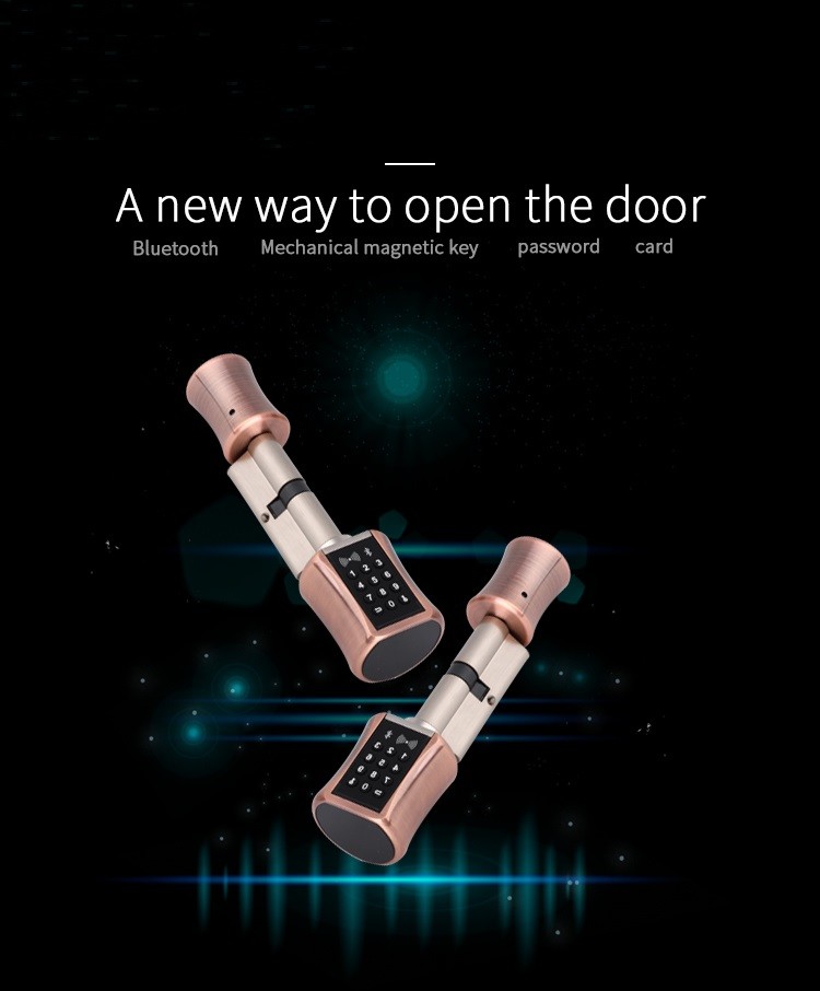 Keyless BLE Password Cylinders TT Lock App Frameless Glass Door Locks