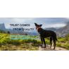 Buy cheap biodegradable Pet Waste Bags Dog Poop Bag, Pet Printing Waste Bags Handle Dog Cat Pick Up Poop Clean Up Rubbish Bag, pac from wholesalers