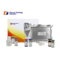 Buy cheap Bovine Non - Esterified Fatty Acid ELISA Assay Kit / Customized NEFA ELISA Test product