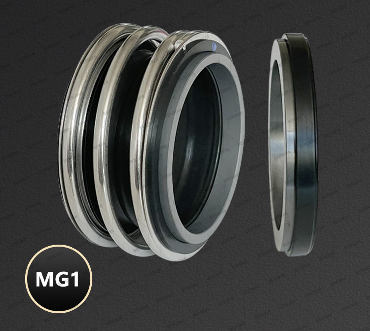 BERGMAN 109/MG1-12mm-110mm G60 G4 G6 G9 G13 G16 BS Bo BP Pump Mechanical Seal