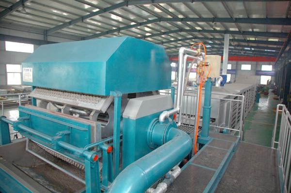 Quality Diesel Oil Automatic Egg Tray Production Line / Pulp Molding Equipment for sale