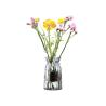 Buy cheap Europe Style Decorative Glass Vases , Colored Wedding Glass Vases from wholesalers