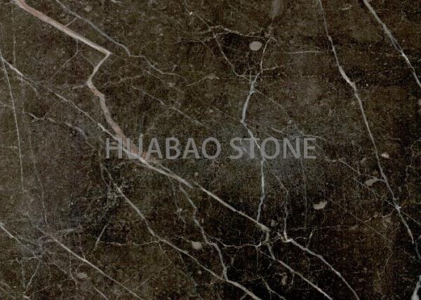 Buy cheap Outdoor Gold Brown Marble Slab Tile Customized Size With Gold Vein from wholesalers