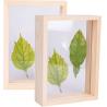 Buy cheap Office Home Desktop Display Wooden Frame for DIY Dry Flowers and Leaves from wholesalers
