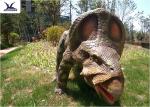 Animatronic Lifesize Outdoor Dinosaur Models For Musuem And Supermarket