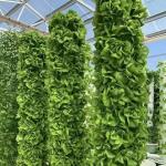 Chinese Origin Glass Greenhouse Canopy for Flowers 30-Day Return 100.000kg Gross