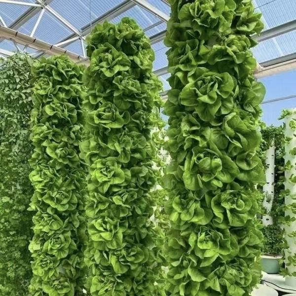 Chinese Origin Glass Greenhouse Canopy for Flowers 30-Day Return 100.000kg Gross