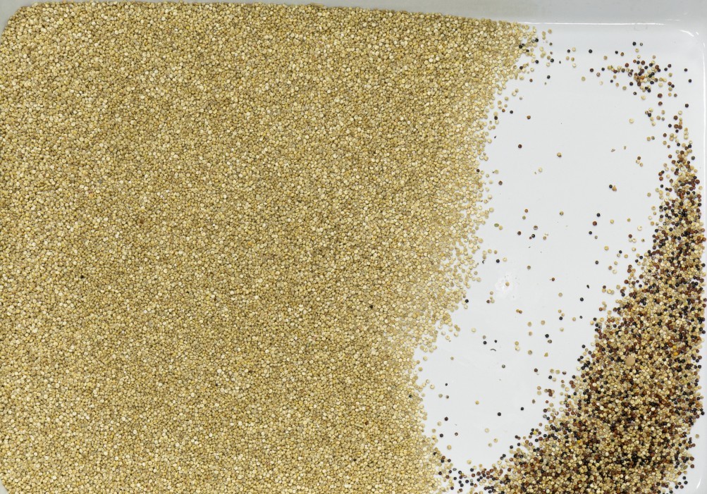 Automatic CCD Optical Mulitipurpose Granin Rice Seeds Tea Plastic Color Sorter Machine