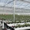 Buy cheap Origin Multi-Span Film Agricultural Greenhouse for Your Agricultural Business from wholesalers