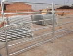 2200mm Livestock Farm Stockyard Galvanized Corral Panels
