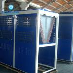 Evaporator air cooler for freezer /cold storage