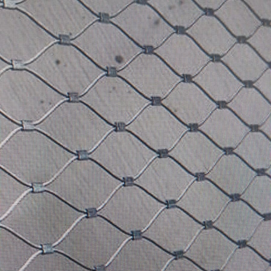 Black Oxide Bird Stainless Steel Rope Mesh 7 X 7
