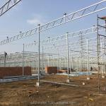 Tomato Grow Agriculture Greenhouses Manufacturers in Venlo Style with PC Sheet