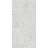 Buy cheap Ceramic Poem Of Romance Floral Fragrance Glazed Wall Tiles 600*1200/Mm² from wholesalers