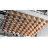 Buy cheap Food Industry Rapid Release Tool System Robotic Bread Depanner from wholesalers