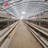 Buy cheap 3-8 Tiers Poultry Cage Battery System U type HDG Steel Material from wholesalers