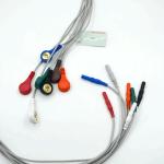 Hight Quality Din Type 7 Lead Snap Holter Recorder Ecg Lead Wires