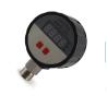 Buy cheap Digital Water Pressure Gauge , Gas Pressure Gauge Radial Direction DPR-B80 from wholesalers