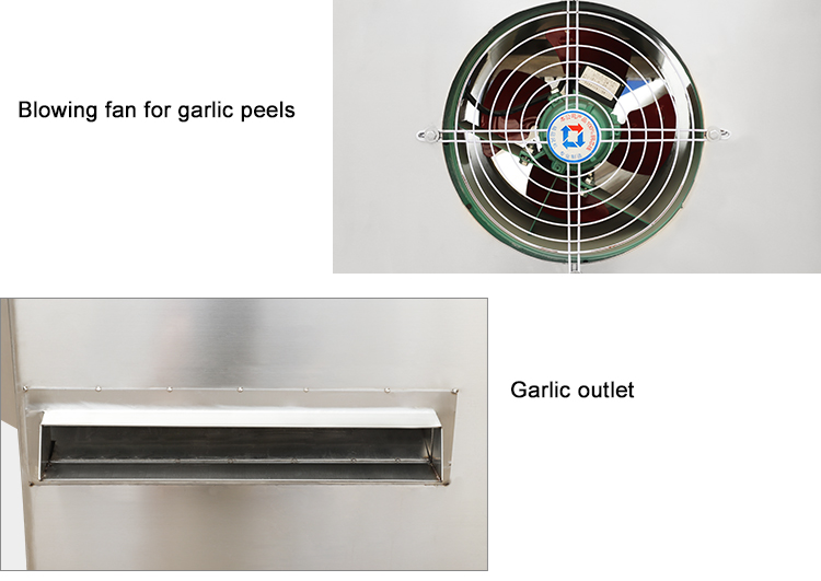Machinery 2024 304 Stainless Steel Black Garlic Separating Machine with CE Certificate